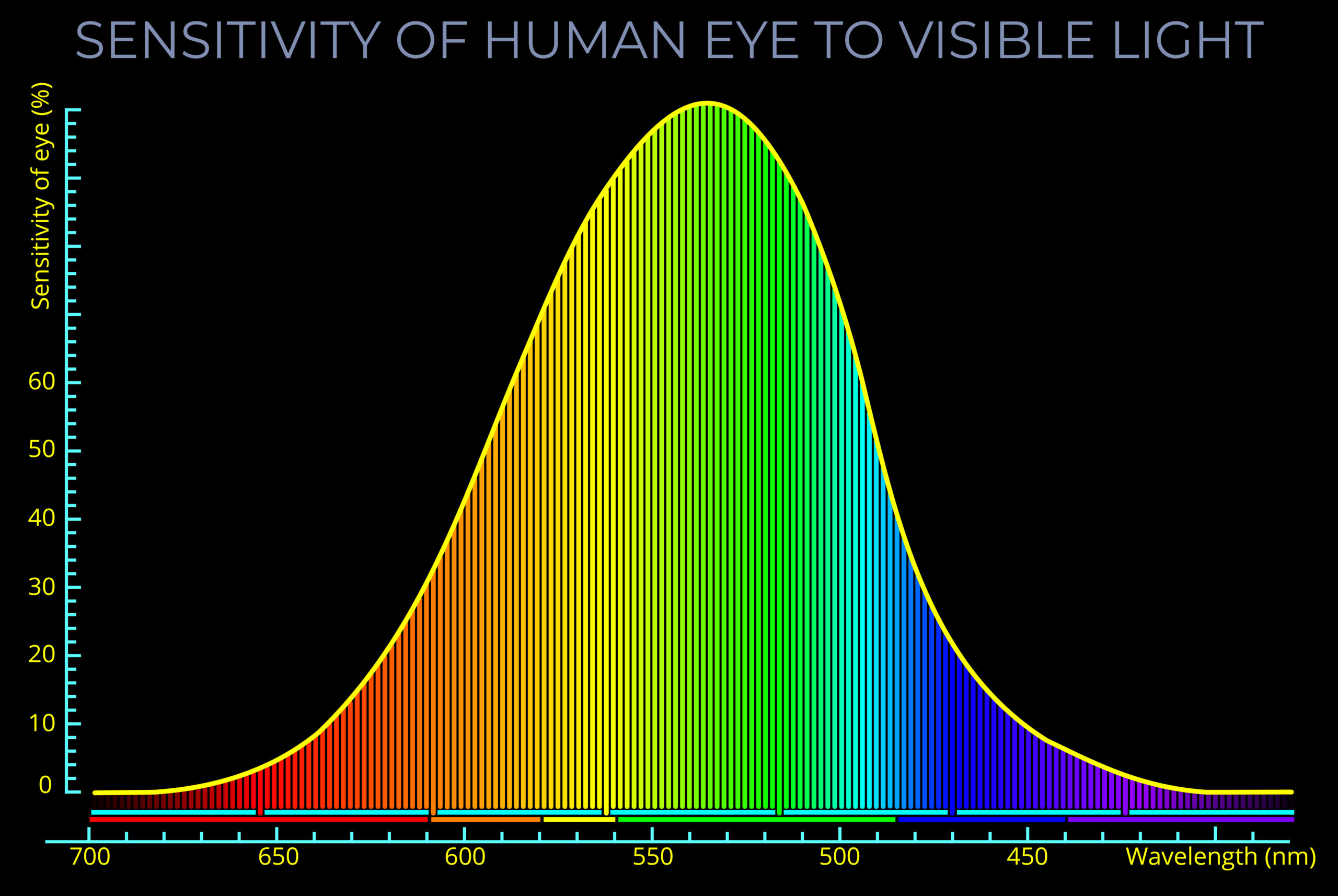 A bar chart displaying the sensitivity of the human eye to visible light, with the highest sensitivity in the middle of the spectrum.