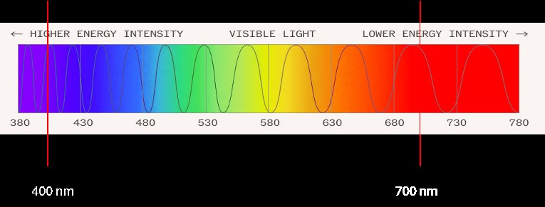 The light spectrum, from purple on the left to yellow on the right, 400-700 nanometers.. 