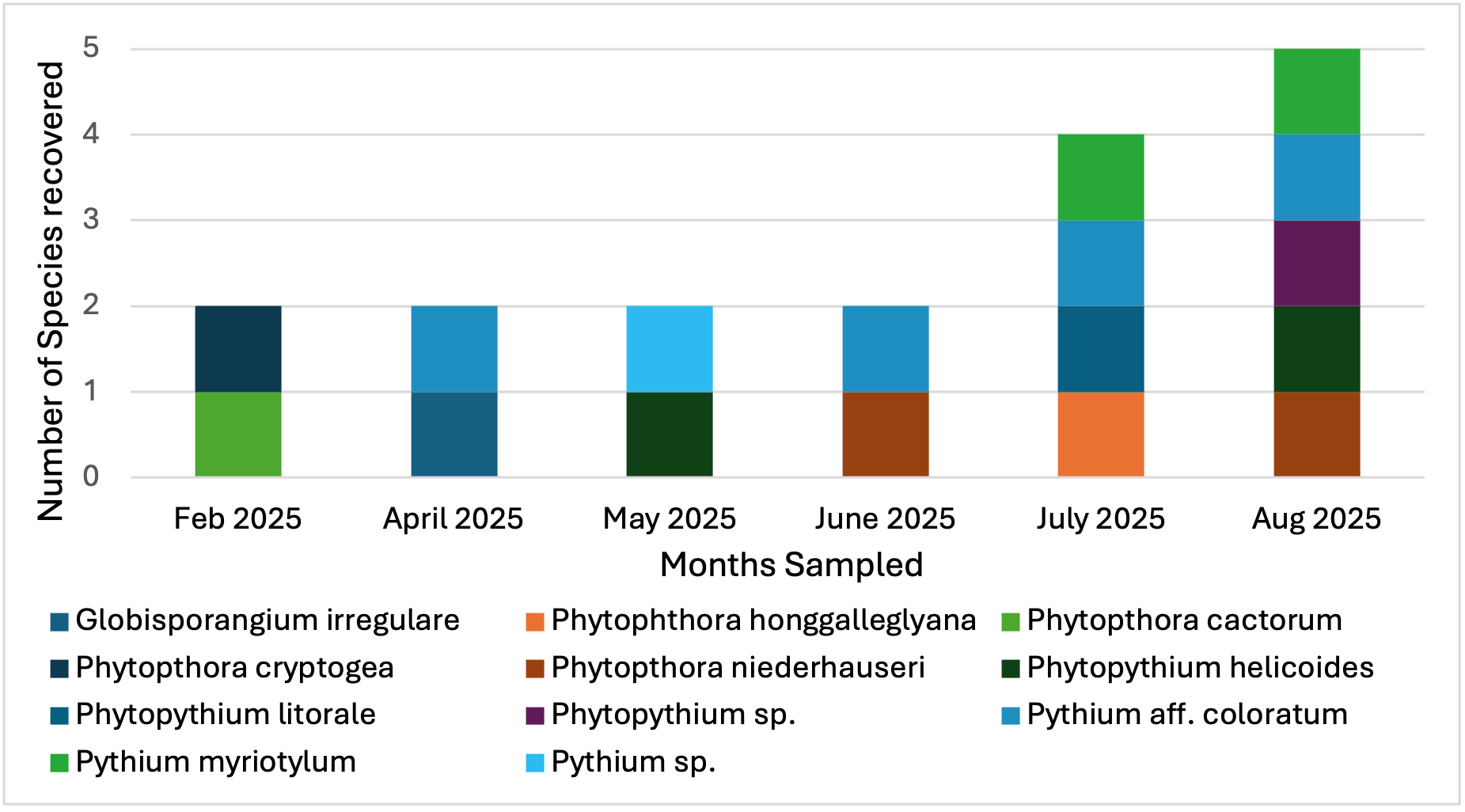 A bar chart showing the number of oomycete species recovered from symptomatic plants during 6 samplings.