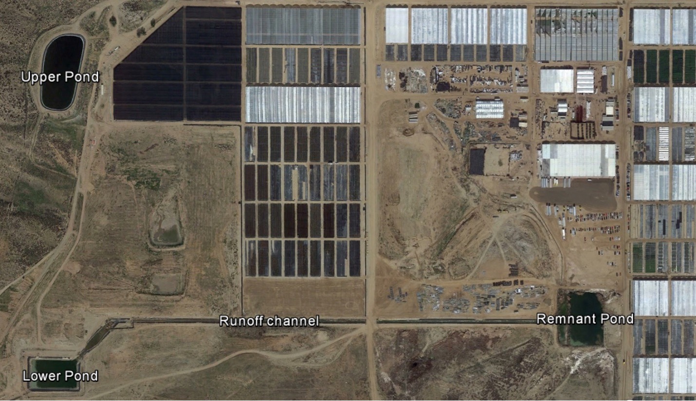 An aerial view of a nursery with water reclamation ponds and runoff channels