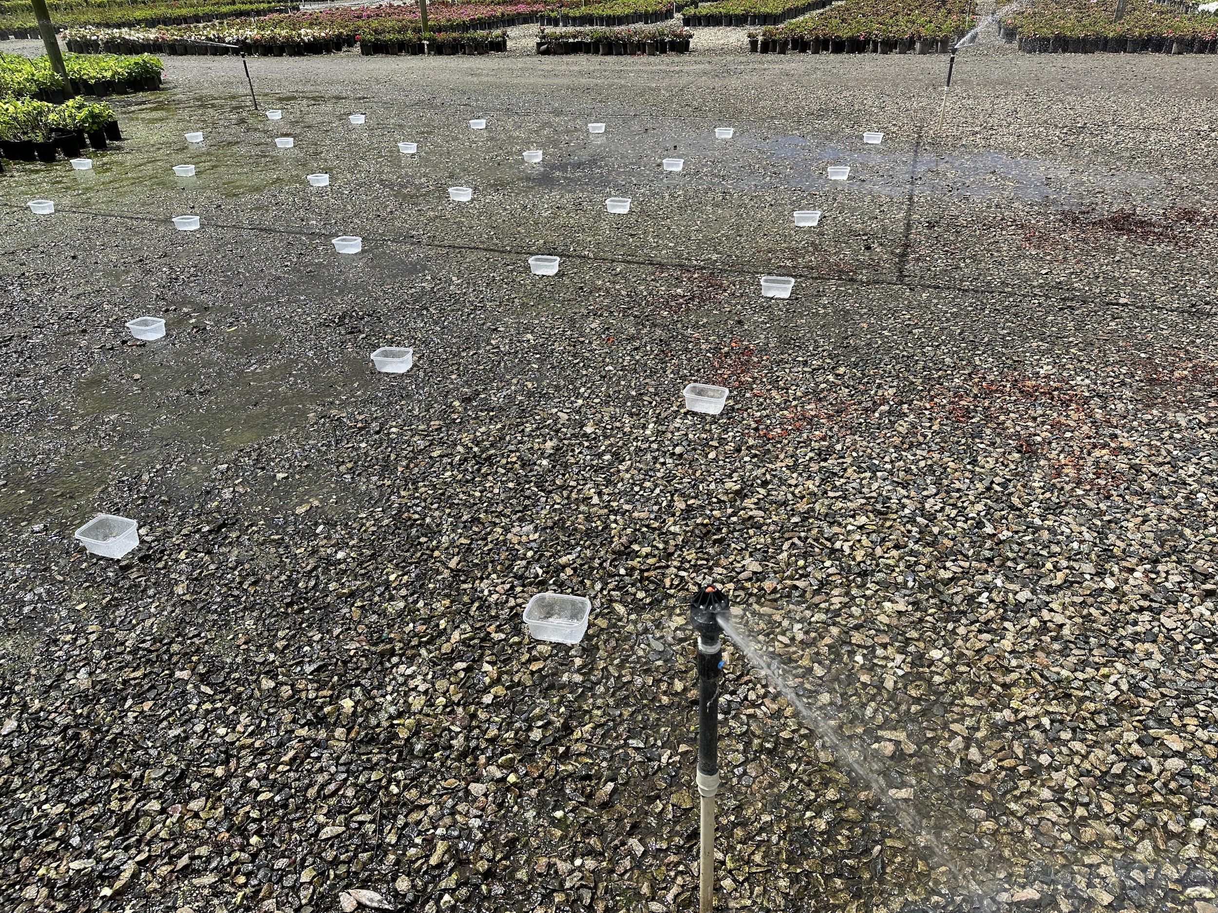 overhead sprinklers arranged head-to-head in a square layout