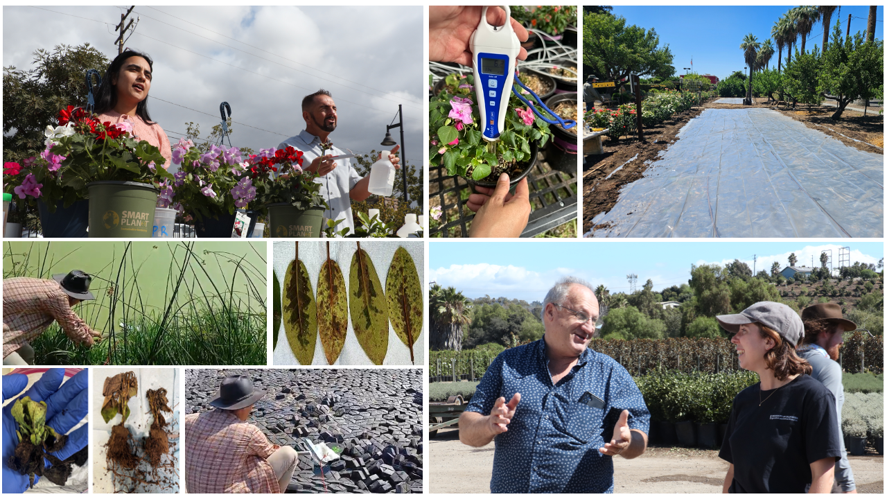 A photo collage of UCNFA advisors giving presentations, a field covered with tarp, a pH meter, wilting plants, and water collection ponds.