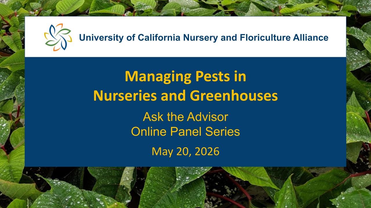 Slide: Managing Pests in Nurseries and Greenhouses; UC logo over leafy background