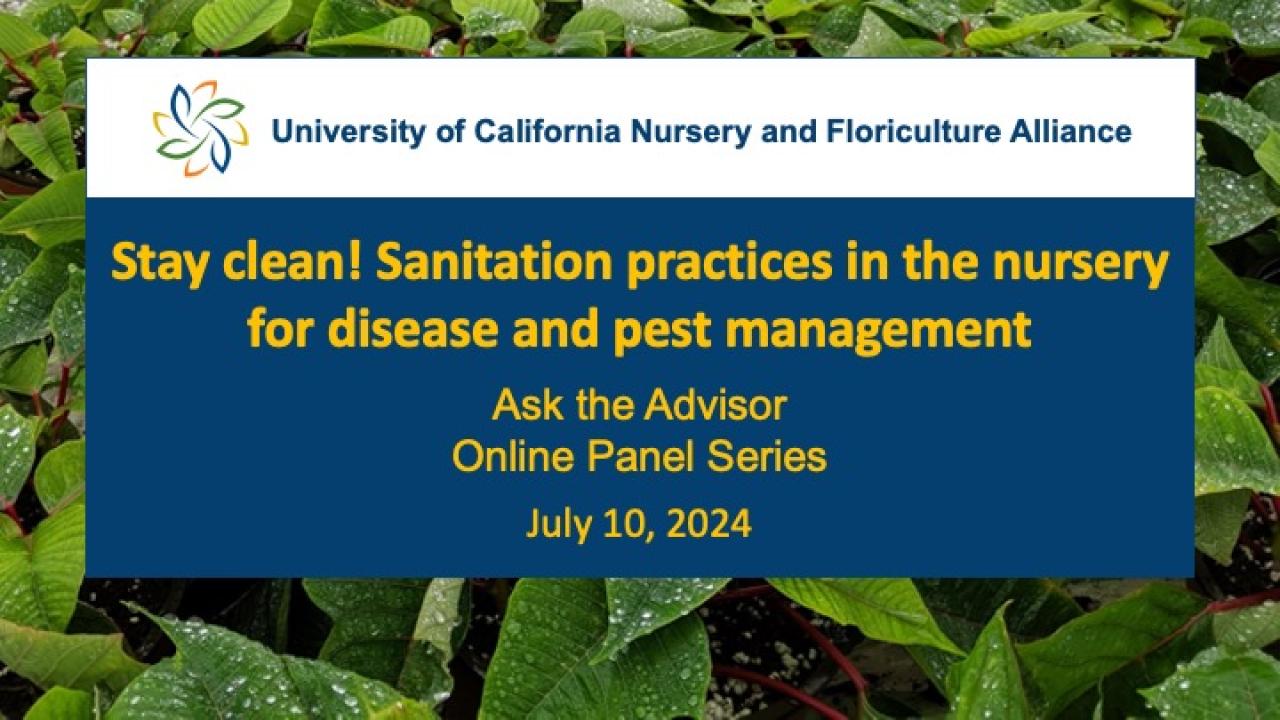 Slide describing Ask the Advisor series Sanitation Practices in nurseries