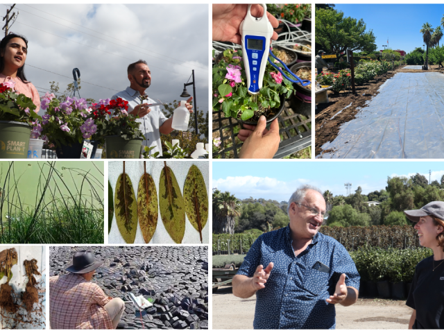 A photo collage of UCNFA advisors giving presentations, a field covered with tarp, a pH meter, wilting plants, and water collection ponds.