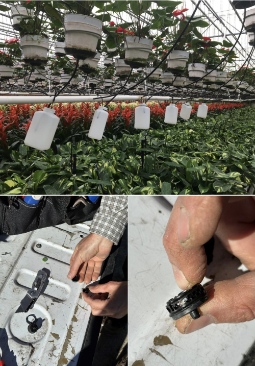 A photo collage of hanging plants with bottles collecting water from drip emitters, and a photo of a clogged drip emitter