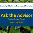 Announcement for the Ask the Advisor Series for April to July 2025. A blue box with yellow text over a background of green leafy plants. 