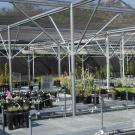 Plants growing in containers on metal benches in a nursery.