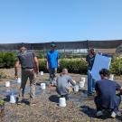 Workers tending to plants in a nursery under clear blue skies, interacting amidst pots.