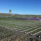 a large plant nursery 